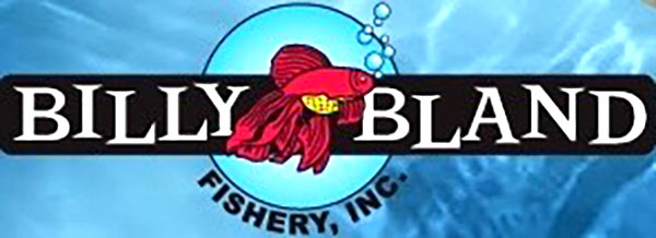 Billy Bland Fishery, Inc.